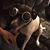 Frankie Duenas Robles's profile image