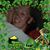 Ed Barnhill's profile image