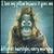 Debbie Flansburgh Gay's profile image