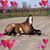 Carol Davis's profile image