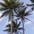 Juanita Walker Bailey's profile image