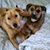 Shawna Groendal's profile image