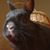 Marisa Sullivan Wakefield's profile image