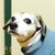 Belinda Matchett's profile image
