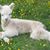 Joan M DuPont's profile image