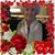 Dana Castle Warner's profile image