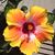 Jana Bolster's profile image
