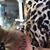 Darlina Gamble's profile image