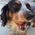 Heidi Forbito's profile image