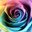 Apostle Rosalyn Overton's profile image