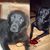 Jerry Lee's profile image