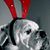 Jill Parker Oliver's profile image