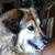 Ann Clift's profile image