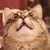John Spencer's profile image