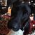 Lori Ann Burno's profile image