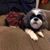 Gail Hill's profile image