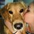 Chloe Dehmer's profile image