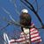 Kathy Morse's profile image