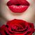 Snezhana Kreider's profile image