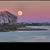 Dierdre Poole's profile image