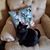 Tania Bee's profile image