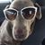 Lacy Tucker's profile image
