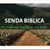 Senda Biblica's profile image