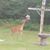 Jackie Mineau's profile image