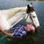 Chip Mccormick's profile image