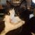 Isabella Grace's profile image