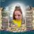 Terrie Rose's profile image