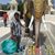 Sitaram Desani's profile image