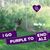 Whitney L. DalSanto's profile image