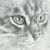 Kait Franklin's profile image
