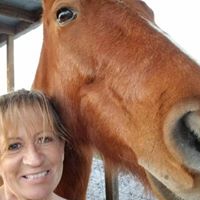 Linda Escher Shearer's profile image
