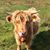 MaryKate Law's profile image