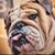 Adel Johnson's profile image