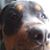 Lizette Garza's profile image