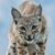 Jan Decker's profile image