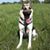 Kristy Renee Vogt's profile image