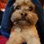 Marci Maullar's profile image