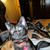 Susanne Facer's profile image