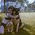 Shari Halberstadt Phillips's profile image