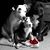 Melissa Tabron's profile image
