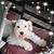 Julie White's profile image