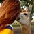 Lori Martin Nelson's profile image