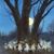 Teri Kraus Van Campen's profile image