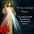 Ana Maria Silverio's profile image
