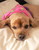 Sheila B.'s profile image