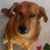 Lorna Miller's profile image
